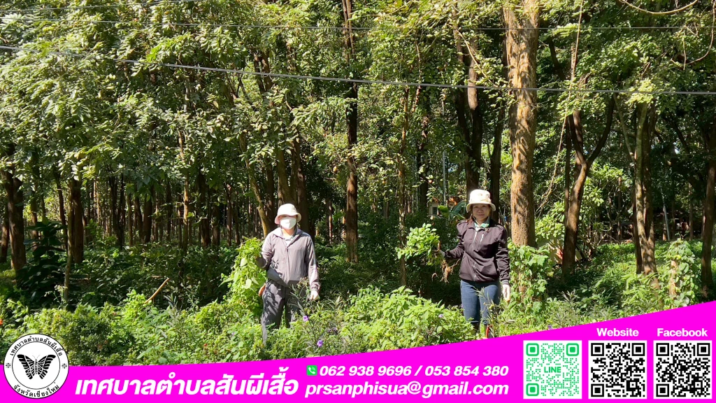 กิจกรรม วันรักต้นไม้ประจำปีแห่งชาติ เพื่อน้อมรำลึกถึงพระมหากรุณาธิคุณของสมเด็จพระศรีนครินทราบรมราชชนนี และเป็นการสร้างจิตสำนึกให้เกิดความรัก ความหวงแหนทรัพยากรป่าไม้ของชาติ