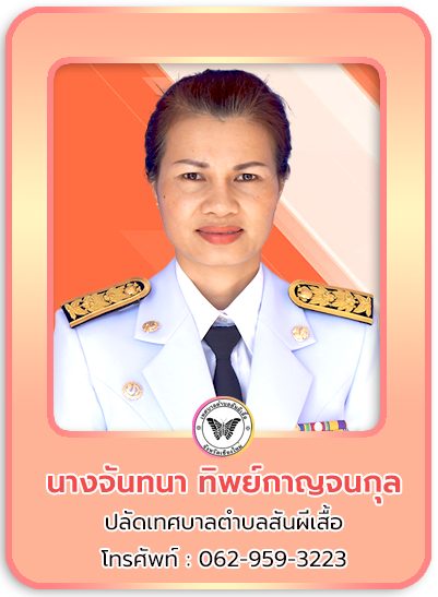 ปลัด