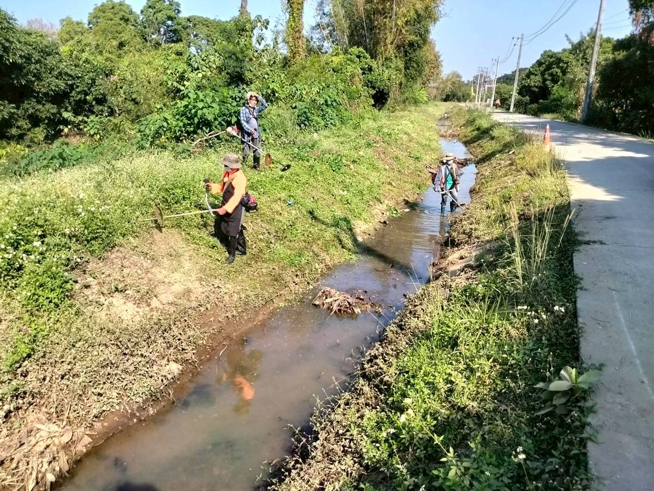 วันที่ 4 กุมภาพันธ์ 2569 เทศบาลตำบลสันผีเสื้อ โดย นายสมบูรณ์ บุญเรือง นายกเทศมนตรีตำบลสันผีเสื้อ มอบหมายให้กองส่งเสริมการเกษตร ดำเนินตัดหญ้าพื้นที่สาธารณะ บริเวณถนนสายหลัก และคลองชลประทานซอย 9 หมู่ที่ 2 บ้านป่าข่อยใต้