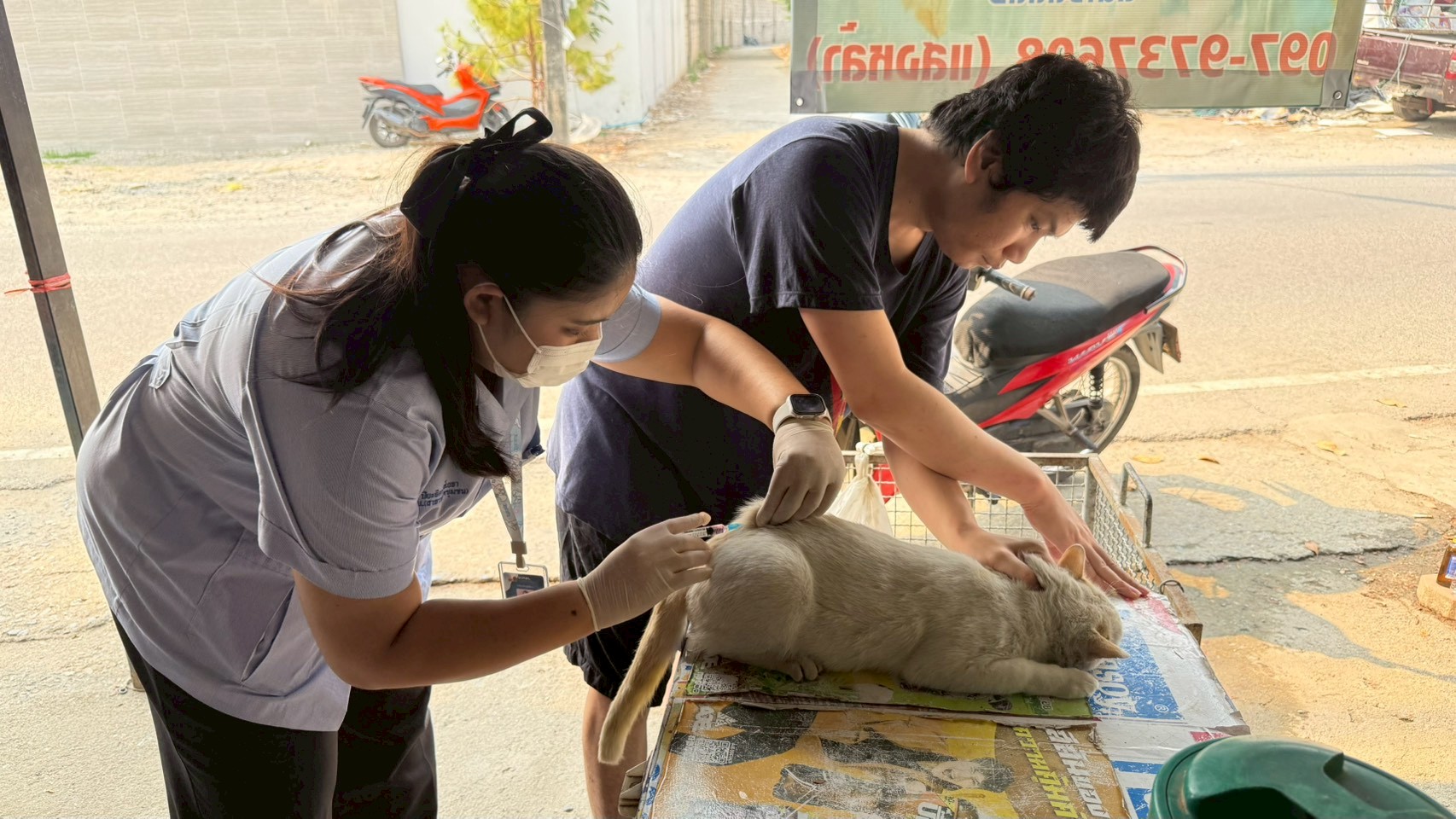 ลงพื้นที่บริการฉีดวัคซีนป้องกันและควบคุมโรคพิษสุนัขบ้า หมู่ที่ 5 บ้านขัวโก